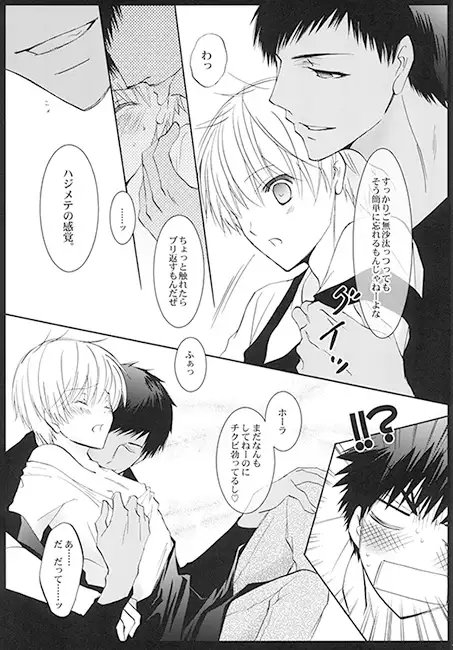 サンプル画像